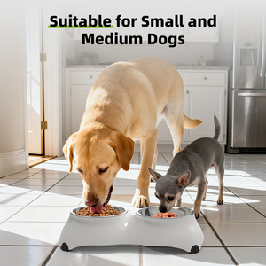 Grand bol double en mélamine solide pour animaux de compagnie avec fonction 3-en-1 pour l'alimentation et le rangement des chiens en intérieur - Product Image 4