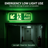 Panneau de sortie de secours photoluminescent personnalisé avec logo, 300x100mm, flèche vers le bas, étiquette de sécurité, plastique rigide, évacuation de bâtiment, OEM Zm