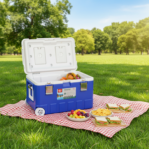 Grande glacière de 50 L pour stands, transport en voiture, <span class=keywords><strong>conservation</strong></span> des aliments en extérieur, livraison à emporter, pêche en mer, <span class=keywords><strong>conservation</strong></span> de la glace - Product Image 4