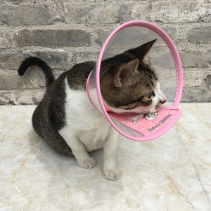 Collier d'entraînement pour animaux de compagnie, en silicone respirant, motif de dessin animé, taille 7, pour la protection des chats et des chiens - Product Image 4