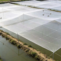 Hoogwaardig herbruikbaar knooploos 18x18mm nylon gaas vogelwerend net voor duiven, waterdicht en makkelijk schoon te maken