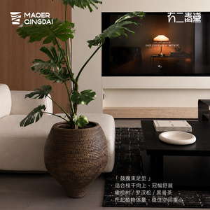 Maceta Extra Grande de Pie para Plantas, Estilo Nórdico, Decoración Artística para Interiores, Exteriores, Jardín y Paisajismo - Product Image 4