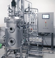 Biorreactor Automático Personalizado para Células de Mamíferos con Modelo BLBIO-SCUC, con Recipiente a Presión y Bomba para Cultivo de Células de Plantas y Algas