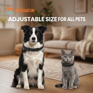 <span class=keywords><strong>Collare</strong></span> <span class=keywords><strong>Antipulci</strong></span> e Antizecche per Cani e Gatti Adulti, 8 Mesi di Protezione, Oli Essenziali Delicati, Altamente Efficace, Stile Semplice, Materiale in Silicone Durevole - Product Image 5