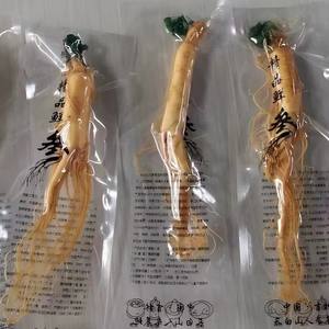 Индивидуальные вакуумные пакеты китайские травы для здоровья и хорошего самочувствия Премиум свежий корень женьшеня - Product Image 2