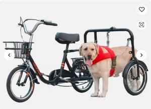 Chien marche tricycle vélo chien marche Husky exercice formateur chien tirant personne tirant chariot multifonctionnel vélo
