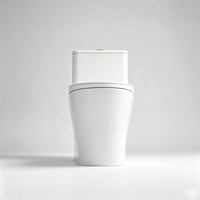 WC intégré moderne et minimaliste pour usage domestique, sanitaires de grand diamètre, toilettes en céramique anti-odeurs à siphon