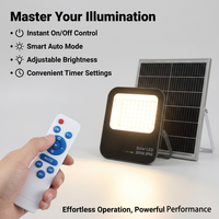 Projecteur solaire en aluminium moulé sous pression IP66 300W, lampe de sécurité extérieure ultra-mince avec panneau MONO de type N