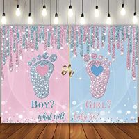 Latar Belakang Fotografi Pengungkapan Jenis Kelamin Bayi Koboi Cowgirl Pink Biru Motif Bunga Sepatu Bot Latar Belakang Dapat Disesuaikan Spanduk Pesta Baby Shower