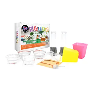 Juguetes De ciencia al por mayor Juguetes educativos de tallo Experimento de cultivo de ciencia verde Juguetes De ciencia Mini Kit de cultivo de plantas para niños