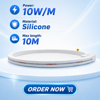 Bande LED en silicone LanVol IP68, sans découpe, longueur personnalisée, DC24V 10W/M, lumière de haute qualité avec cadre de fixation pour piscine