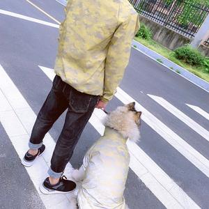 Moda yağmur geçirmez yansıtıcı küçük yavru orta büyük cins kamuflaj eşleşen köpek ve insan sahibi giysi ceket - Product Image 6