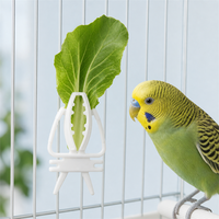 Accessoires pour cage à oiseaux : Pinces à légumes en plastique durables, fourchettes à fruits anti-déchirure, plateaux légers et réutilisables pour petits oiseaux et perroquets