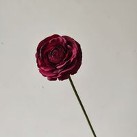 Bunga Minimalis Real Touch 33cm Ranunculus Buatan Lateks Pink Putih untuk Dekorasi Vas Pernikahan Rumah
