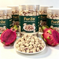 Friandises lyophilisées pour animaux de compagnie au poulet et au fruit du dragon, riches en protéines pour la santé intestinale, collation d'entraînement pour chiens et chats, vente en gros OEM ODM