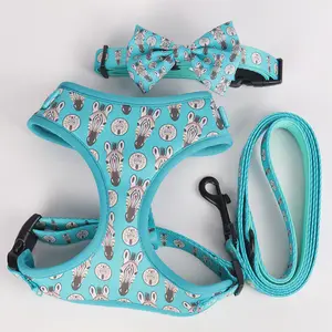 2022 Phổ Biến Chất Lượng Cao Polyester In Đầy Màu Sắc Tùy Chỉnh Thoải Mái Cat Dog Harness Và Leash Cho Pet