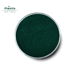 תמצית כלורופיל מסיסה במים בסיטונאות 10% - 99% נחושת-נתרן כלורופילין - Product Image 1