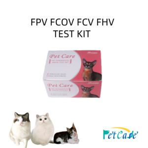 Kustomisasi FPV alat tes diagnostik dokter hewan Panleukopenia kutikula Kit tes <span class=keywords><strong>Strep</strong></span> cepat - Product Image 4