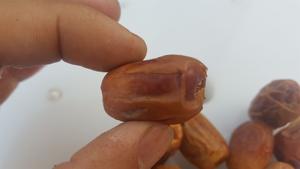 Dễ dàng hoạt động cọ Đỏ Táo tàu hạt giống pitter medjool ngày rỗ Máy Olive lõi hạt nhân Hạt Giống Loại bỏ máy - Product Image 6