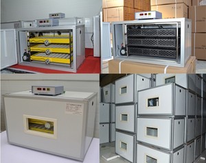 Incubateur à œufs entièrement automatique pour 300 œufs, incubateur à œufs de poulet de grande qualité pour 300 œufs - Product Image 6