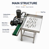Machine à éviscérer les poissons, machine à ouvrir le dos des petits poissons, machine à éviscérer les sardines, machine à nettoyer et à éviscérer les poissons.
