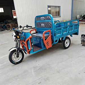 Triciclo de Carga Elegante de Gran Capacidad, Diseño Abierto, Certificado, 48V 1000W, 2 Pasajeros, Carga Útil de 400 kg - Product Image 1