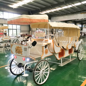 Carruaje Eléctrico Personalizado Directo de Fábrica, Carruaje Turístico Vintage para Parques y Lugares Turísticos - Product Image 2