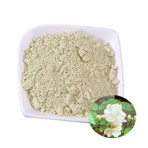 100% Jasmine Flower Straight Powder Jasmine Extract Jasmine Powder