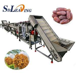 Machine de lavage de dattes, machine de lavage de dattes Kimia, ligne de machines de lavage et de séchage de pâte de dattes - Product Image 5