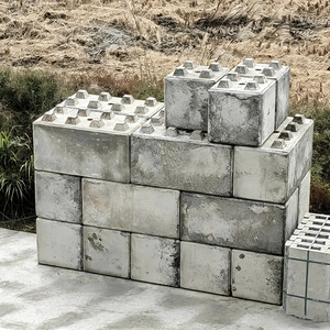 <span class=keywords><strong>Moule</strong></span> en acier pour blocs <span class=keywords><strong>Lego</strong></span> emboîtables personnalisés pour la protection des pentes des rives et les brise-lames - Product Image 4