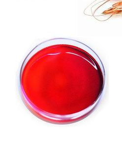 <span class=keywords><strong>กุ้ง</strong></span>กลอง50กก.,น้ำมันคริลล์แอนตาร์กติก N-3กก. - Product Image 4