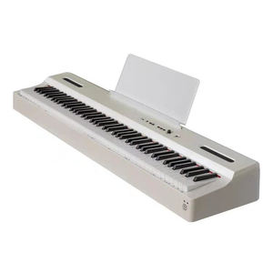 Gros <span class=keywords><strong>clavier</strong></span> Instruments de musique 88 touches <span class=keywords><strong>Standard</strong></span> marteau Action <span class=keywords><strong>clavier</strong></span> de Piano numérique - Product Image 2