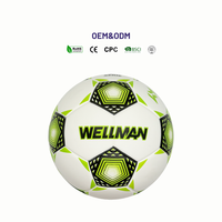 WELLMAN Taille 5 Ballon de football professionnel léger, écologique, durable, thermocollé en PU, cousu à la machine, logo personnalisé, couleur personnalisée