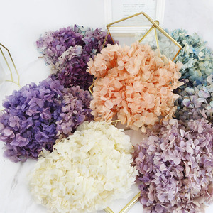 干燥绣球花保存白色永恒花天然绣球花勃艮第绣球花 - Product Image 2