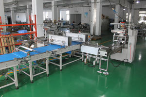 Máquina de embalaje de galletas de gran escala, máquina de embalaje de bolsillo pequeña, con bolsa grande - Product Image 3