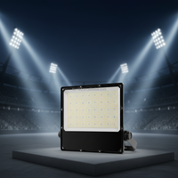 Nouveau projecteur LED extérieur étanche IP66 pour stade 50W 100W 200W 300W 400W 500W 600W
