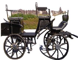 Trasporto speciale in acciaio carretto per la maratona di formazione - Product Image 1