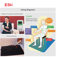 Nouvelle technologie de thérapie à haute tension 12000V et à haute énergie avec moxibustion pour la récupération de la santé et le soulagement de la douleur