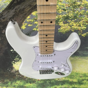 Nhà Máy Trung Quốc Điện Guitarra OEM Tùy Chỉnh Điện Guitar Nhạc Cụ Điện Guitar Sản Xuất Tại Trung Quốc - Product Image 6