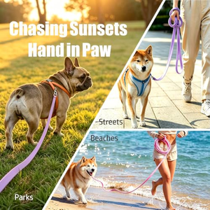 OEM Wholesale Custom Logo PVC <b>Dog</b> Leashes and <b>Collars</b> in Various Sizes Durable, Soft, Waterproof, and Ideal for Outdoor Running - Product Image 5