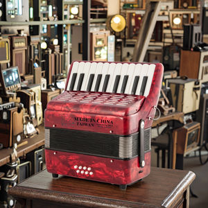 Acordeão Diatônico Infantil TZ TZ-8 de Madeira com 22 Teclas e 8 Baixos, Inclui Alça e Mochila, Instrumento Musical Portátil Colorido de Alta Qualidade - Product Image 4