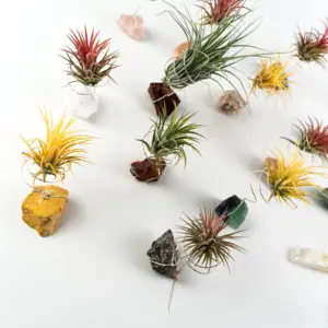 Conception populaire artisanat en cristal de haute qualité pierre brute végétale naturelle pour cristaux pierres de guérison