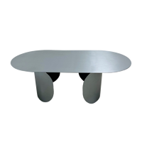 Table basse ovale moderne en acier inoxydable, design minimaliste, pour la maison, les petits appartements, les salons, les hôtels, les réunions informelles