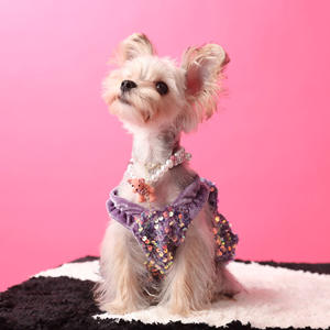 Vestido de Saia de Veludo de Outono Estilo Princesa para Cães com Lantejoulas em Poliéster - Product Image 4