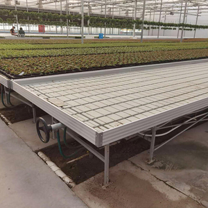 โรงเรือนเพาะชำคุณภาพสูงจากแอฟริกา พร้อมระบบระบายอากาศอัตโนมัติและป้องกันรังสียูวี สำหรับการเจริญเติบโตของพืชตลอดทั้งปี - Product Image 4