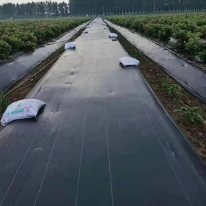 Kiểm soát cỏ dại vải PE lớp phủ nhự<span class=keywords><strong>a</strong></span> phim 70g/m² PP dệt màng cho nông nghiệp Cỏ Dại rào cản vải - Product Image 4