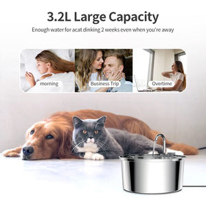 Fuente de agua automática para gatos con <span class=keywords><strong>grifo</strong></span>, dispensador para perros, <span class=keywords><strong>bebedero</strong></span> de filtro transparente, comedero para mascotas de acero inoxidable - Product Image 4