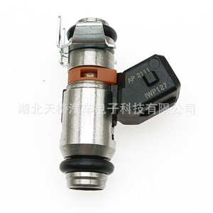 Inyector de Combustible Iwp127 50103302 1221551 Tb4-Fd073 para Ford Diésel Transmisión Manual - Product Image 2