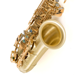 プロサックス中国サックス高品質アルトサックスアルト - Product Image 3