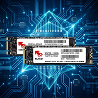 SSD TWSC Internal SATA 3.0 1TB M.2 2280 TS3010 Baru untuk Desktop/Laptop